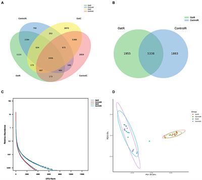 Effects of oat (Avena sativa L.) hay diet supplementation on the intestinal microbiome and metabolome of Small-tail Han sheep